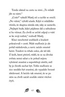 a101f0f0000362_npssk-7-opusteny-muflonek