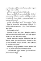 a101f0f0000376_klub-tygru-prastara-hlado