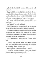 a101f0f0000379_klub-tygru-dzin-z-kouzeln