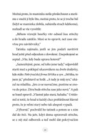 a101f0f0000481_zuzka-a-ztracene-kote-lis