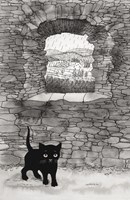 a101f0f0000481_zuzka-a-ztracene-kote-lis