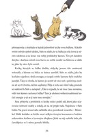 a101f0f0000578_tajemstvi-ztracenych-koce