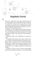 a101f0f0000870_jezdkyne-svetla-volani-os