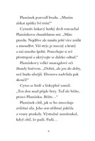 a101f0f0000872_kouzelne-kotatko-dvojita-