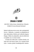 a101f0f0000909_hvezdy-fotbaloveho-hriste