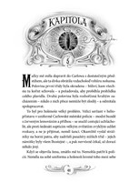 a101f0f0000971_zlodeji-stinu_pod-ochrano