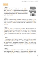 a101f0f0001126_diktaty-a-doplnovacky-2-3