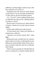 a101f0f0001764_klub-tygru-ohnive-oko-lis