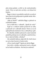 a101f0f0001764_klub-tygru-ohnive-oko-lis