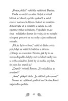 a101f0f0001934_npssk-10-zranene-labutatk