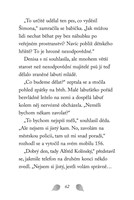 a101f0f0001934_npssk-10-zranene-labutatk