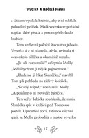 a101f0f0002070_pribehy-z-vrboveho-hajku-