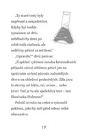 a101f0f0002583_sherlock-holmes-studie-v-