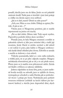 a101f0f0002584_molly-a-kocici-kavarna-li