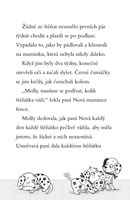 a101f0f0002626_stepka-a-stistko-zahada-z