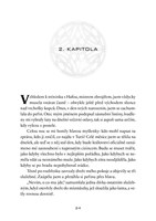 a101f0f0002696_pod-stitem-magie-list1.jp