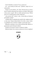 a101f0f0002992_fotbalova-hvezda-na-mistr