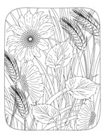 a101f0f0003285_moje-barevne-leto-relaxac