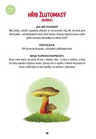 a101f0f0003907_fousodejova-lesni-skola-p