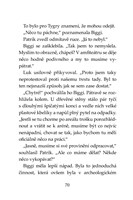 a101f0f0004258_klub-tygru-gladiatoruv-zl