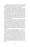 a101f0f0004564_jezdkyne-svetla-zrozeni-l