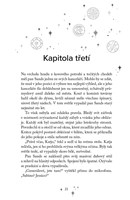 a101f0f0004564_jezdkyne-svetla-zrozeni-l