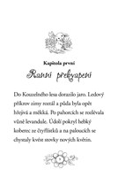 a101f0f0004803_zviratka-z-kouzelneho-les