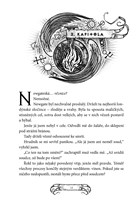 a101f0f0004992_alchymistova-sifra-havran