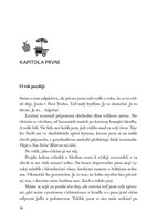 a101f0f0005218_polibky-v-new-yorku-list4