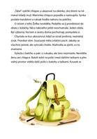 a101f0f0005231_jak-vosa-zofka-vyrazila-d