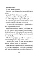 a101f0f0005234_klub-tygru-monstrum-v-baz