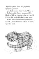 a101f0f0005292_ema-ajkz-13-upovidany-tyg