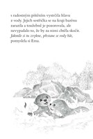 a101f0f0005293_ema-ajkz-14-nesmela-vydra