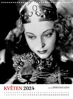 a101f0f0006327_cibulkuv-kalendar-filmovy