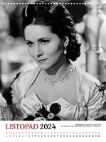 a101f0f0006327_cibulkuv-kalendar-filmovy