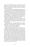 a101f0f0008382_jezdkyne-svetla-prichod-t