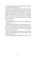 a101f0f0008382_jezdkyne-svetla-prichod-t