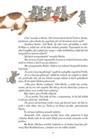 a101f0f0009289_sverak_uhlir_detem-list2.