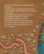 a101f0f0009523_o-ztracene-ponozce-list2.