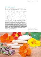 a101a0f0000981_muj-prvni-kurz-lecivych-r