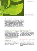 a101a0f0000981_muj-prvni-kurz-lecivych-r