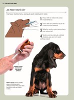 a101a0f0000995_prvni-pomoc-pro-psy-list2