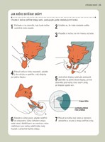 a101a0f0000996_prvni-pomoc-pro-kocky-lis