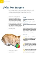 a101a0f0001146_klikrtrenink-pro-kraliky-