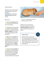 a101a0f0001146_klikrtrenink-pro-kraliky-