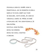 a101a0f0001248_zpravy-z-pelisku-list2.jp