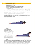 a101a0f0001705_system-joga-v-dennim-zivo