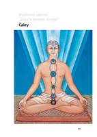 a101a0f0001705_system-joga-v-dennim-zivo