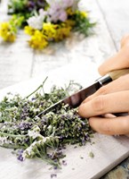 a101a0f0002085_oleje-kremy-a-masti-list2