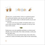 a101a0f0003780_cesta-do-svabiho-raje-lis